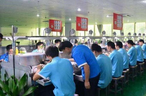 蓬安20歲小伙考上大學 玩具廠打工掙學費