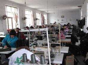 南寧加工廠招工信息及工廠介紹